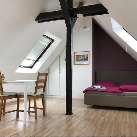 Einzel-Apartment Duesseldorf Oberkassel מראה חיצוני תמונה